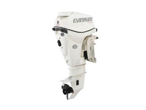 2019 EVINRUDE 15 HP E15HPSL OUTBOARD MOTOR