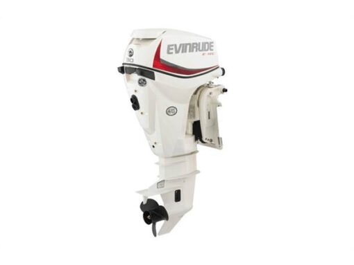 2019 EVINRUDE 30 HP E30DRSL OUTBOARD MOTOR