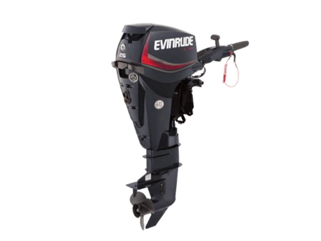 Evinrude-E25DGTE.jpg