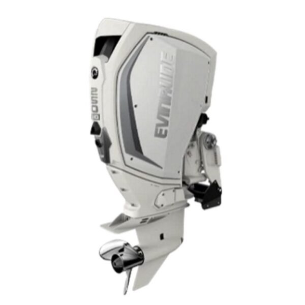 Evinrude H250WXCA 250 HO Outboard Motor